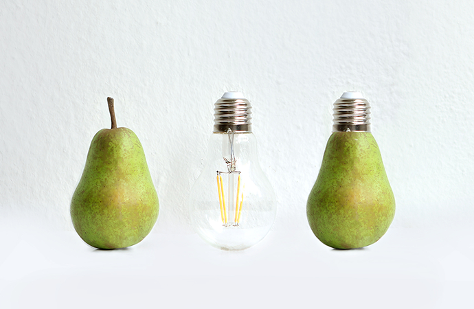 Light bulb between 2 pears