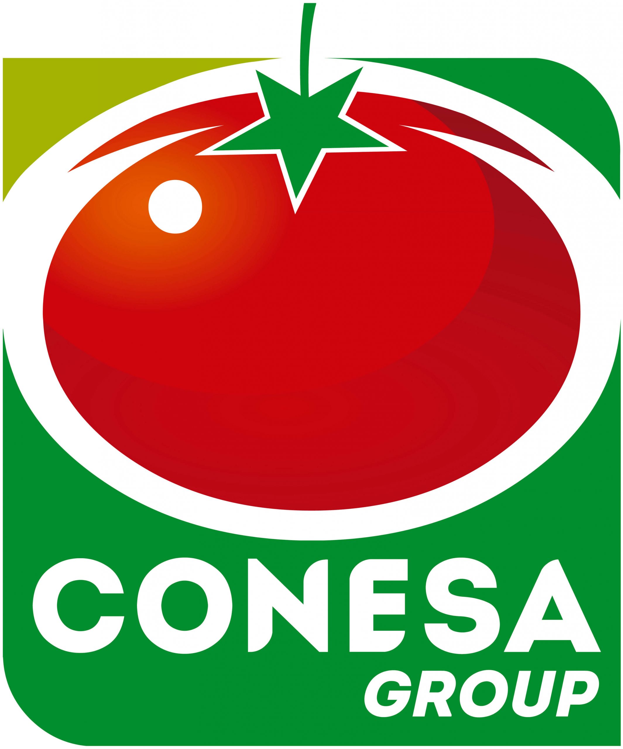 Conesa Group logo